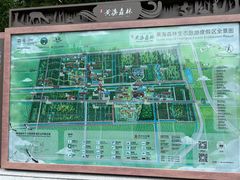 -黄海国家森林公园