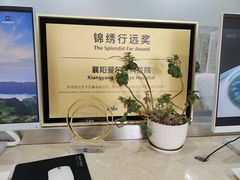 -襄阳爱尔眼科医院