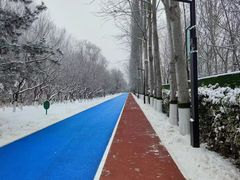 -大兴滨河森林公园