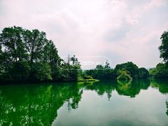 -西溪国家湿地公园