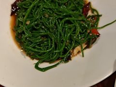 -老阿妈蒙古村·蒙古包·草原文化·歌舞表演(老君堂店)
