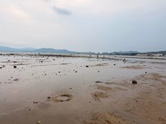 -鹏城人家海鲜酒家·23年老字号(较场尾店)