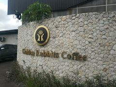 -巴厘岛黄金金兔咖啡工厂