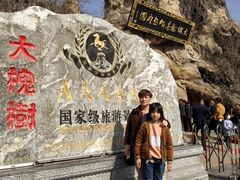 -大槐树寻根祭祖园