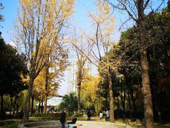 -苏州河梦清园环保主题公园