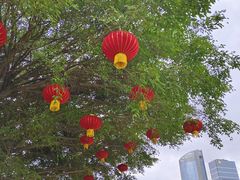 -万绿园