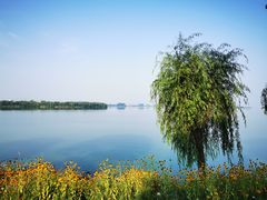 -漕湖湿地公园
