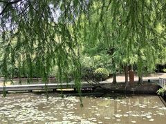 -同里国家湿地公园