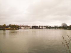 -上海长兴岛郊野公园