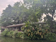 -荔湾湖公园