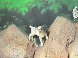 -酷嗒动物文化乐园(cutezoo西溪乐天城店)