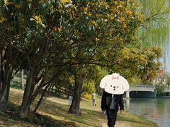 -美兰湖景区