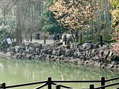 -宝岩生态观光园