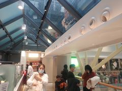 -奈雪的茶(赛格店)