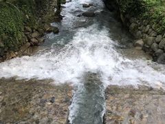 -东天目山风景区