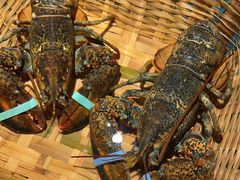 -拉完海鲜大排档(温岭店)