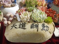 -甘肃国际会展中心