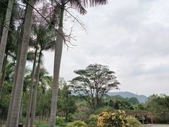 -大屏嶂森林公园