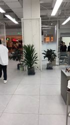 -P.STYLE派斯造型