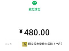 -瑞鹏宠物医院·爱宠堂·骨外专科(西荷分院)