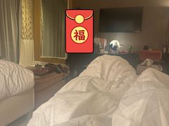 -拉斯维加斯永利酒店