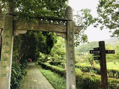 -白马涧龙池景区