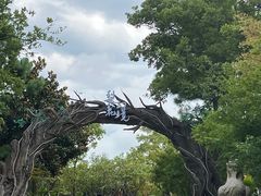 -茅山东方盐湖城景区