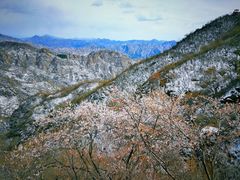 -大岭沟猕猴桃谷风景区