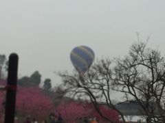 -秀丽东方