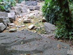 -白水带风景区体育公园