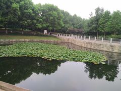 -后襄河公园