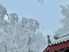 -秦岭终南山世界地质公园翠华山景区