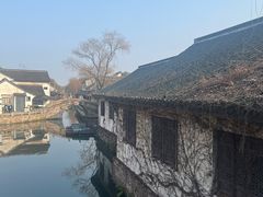 -鲁镇