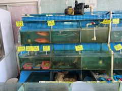 -叶姐海鲜(棋子湾店)