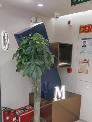 -木北造型