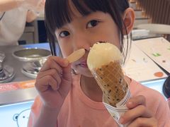-莉莉熊Lililove Gelato (意大利手工冰淇淋)