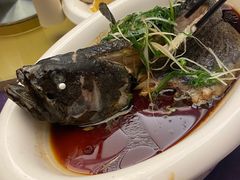-椿记烧鹅(北门店)