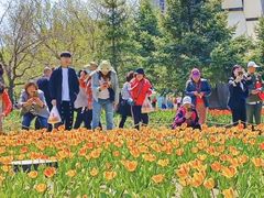 -长春公园(普阳街道)