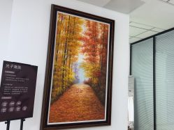 -薇兰专业脱毛连锁机构