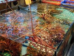 -新金盛·海鲜酒楼(盐田店)