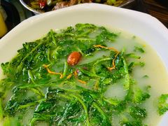 -石岐乳鸽村(南海第三分店)