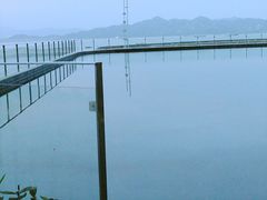 -希尔顿南海酒店·观廊大堂吧·海景下午茶