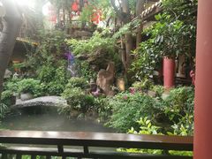 -钦善斋(武侯祠店)