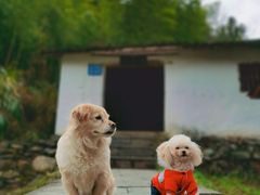 -石台牯牛降景区