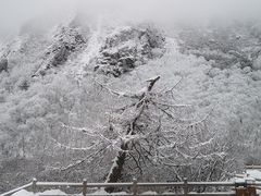 -黄龙山原始森林景区