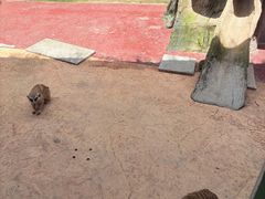 -杭州野生动物世界