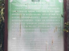 -西宁市东关清真大寺