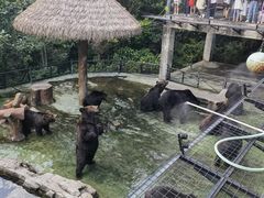 -深圳野生动物园