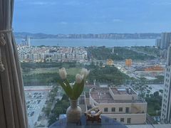 -浅森·龙凤筋SPA·私域调理