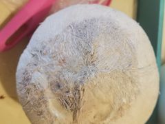 -港华水果街(港华广场店)